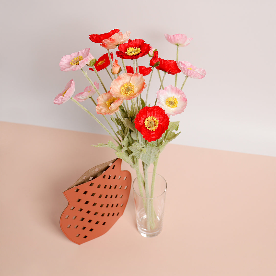 Coral
