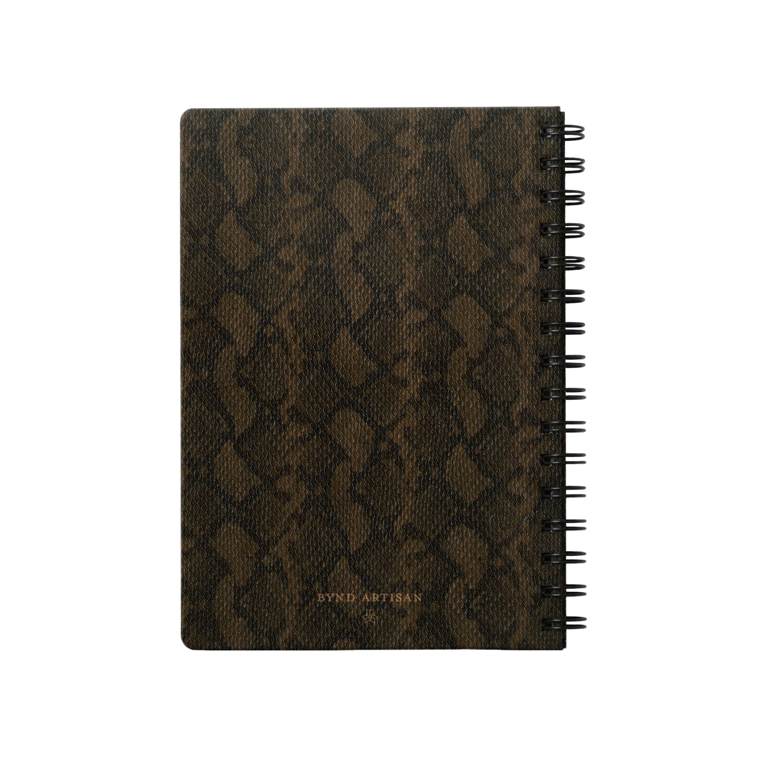 Python Bronze-1