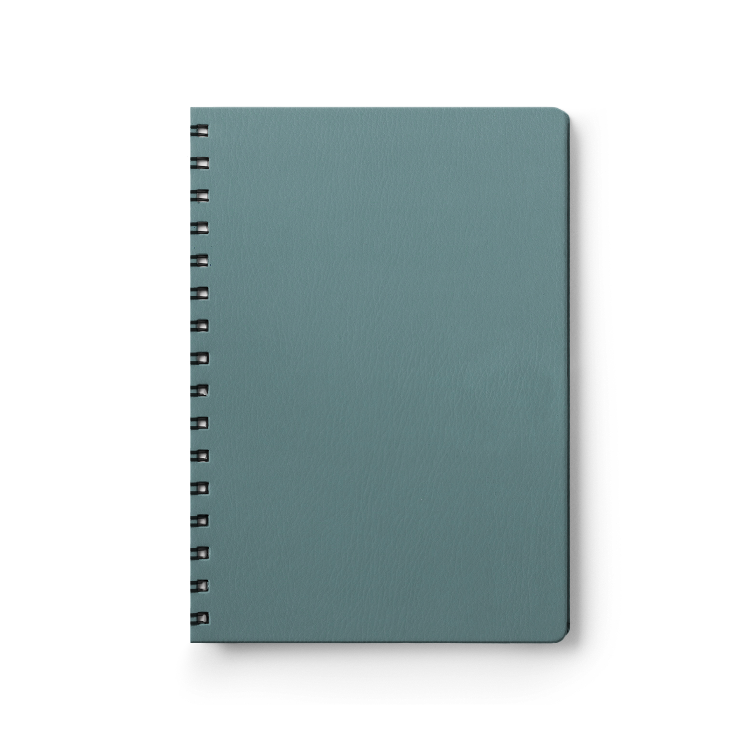 Naturale Teal-1
