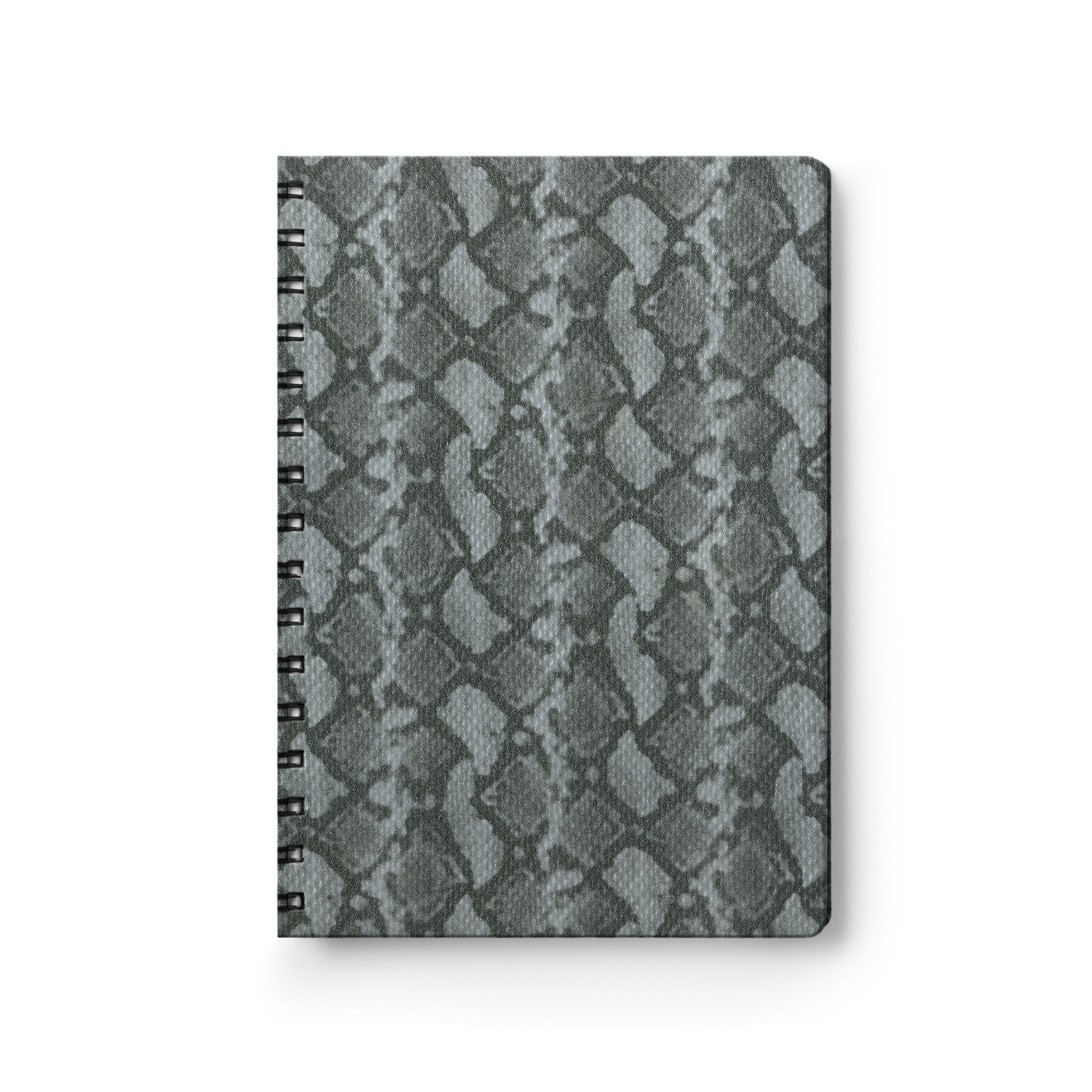 Python Silver-1